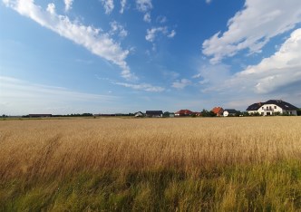 działka na sprzedaż - Święciechowa, Przybyszewo, Porzeczkowa