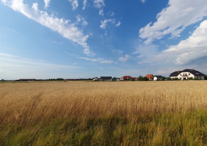 działka na sprzedaż - Święciechowa, Przybyszewo, Porzeczkowa