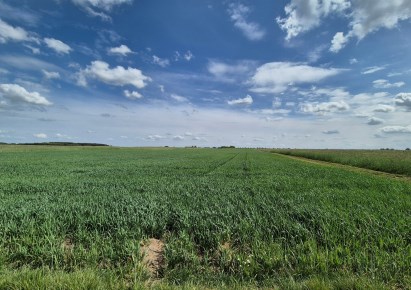 działka na sprzedaż - Przemęt, Kluczewo